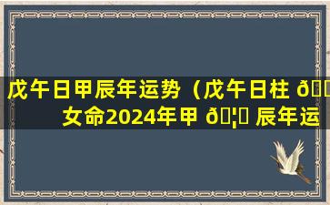 戊午日甲辰年运势（戊午日柱 🌿 女命2024年甲 🦊 辰年运势）